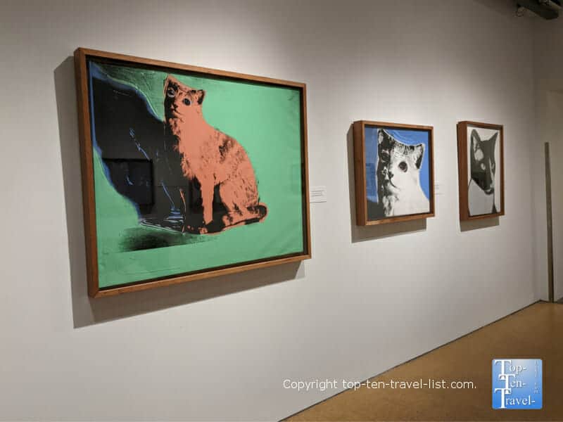 Cats and Dogs by Andy Warhol