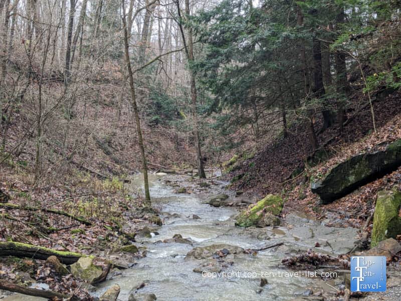 Tranquil creek view at Racoon Creek State Park near Pittsburgh 