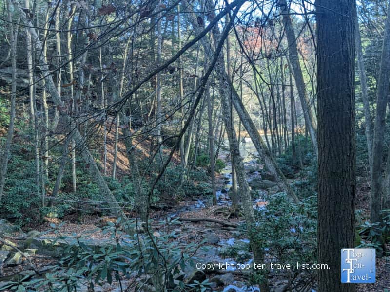 Trail to Cucumber Falls at Ohiopyle State Park
