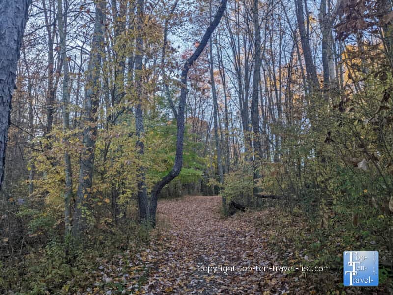 Quiet fall walk at Moraine State Park in Pennsylvania 