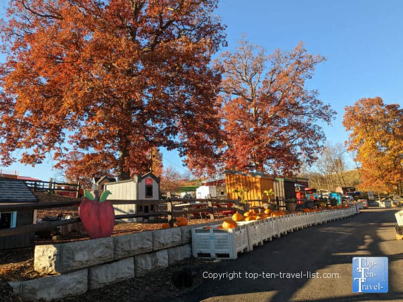Bright fall foliage at Soergel's Orchard in Wexford, PA