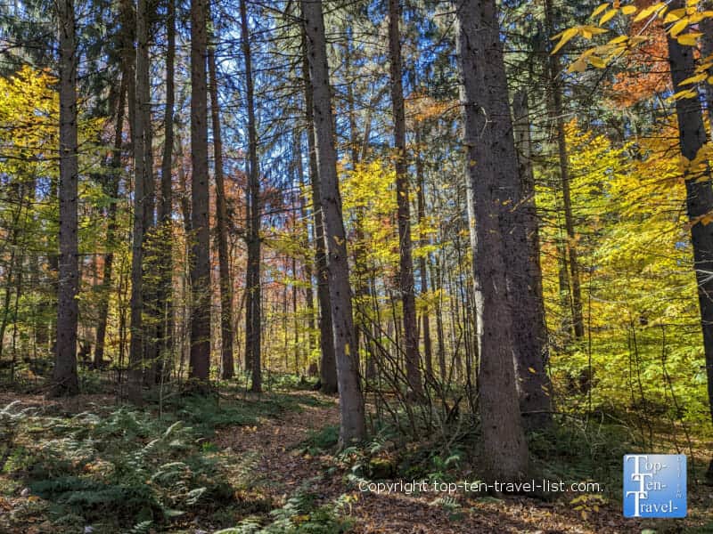Leaf peeping along the Jennings trail at Racoon Creek State Park in Pittsburgh 