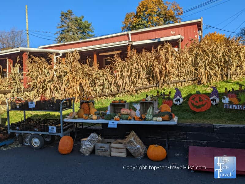 Fall festival at Soergel's Orchard in Wexford, PA