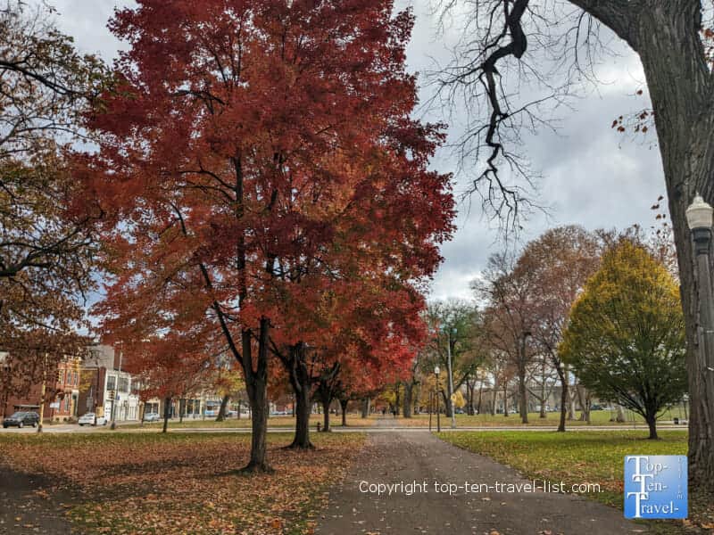 Red fall foliage at Allegheny Commons Park in Pittsburgh