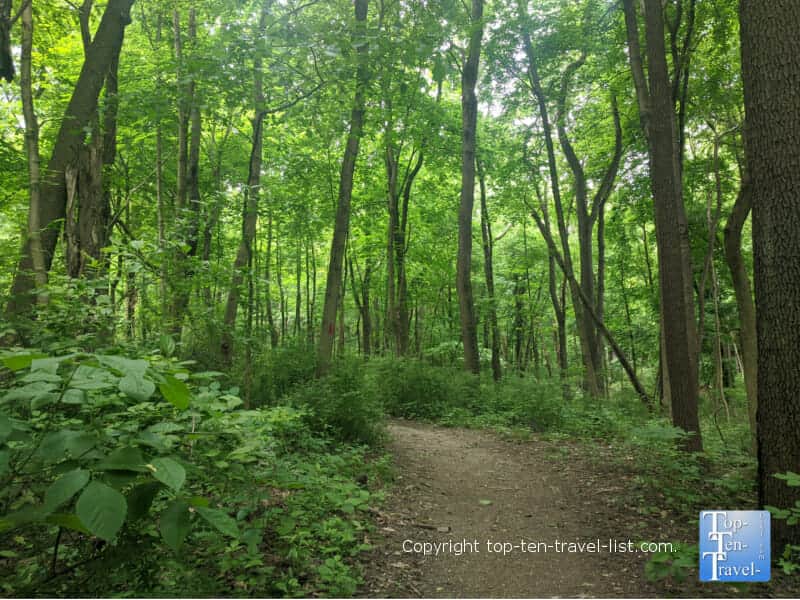 Nature trail at Robin Hill Park in Coraopolis, PA