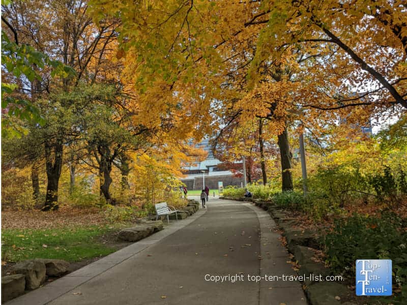 yellow foliage at Point State park in Pittsburgh