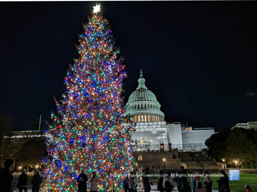 Amazing Capitol Hill Christmas tree in Washington DC