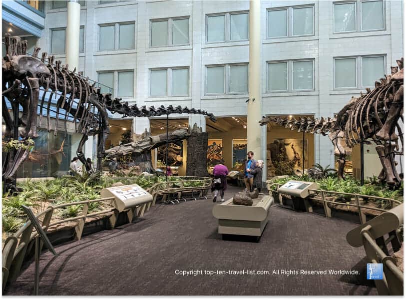 Dinosaur exhibit at The Carnegie Museum of Natural History