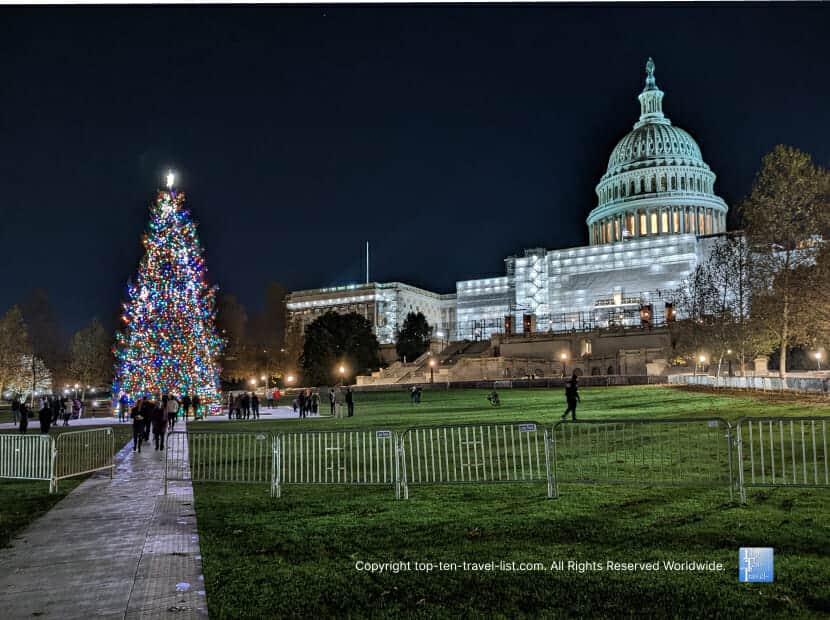 Gorgeous Christmas tree in front of the Capitol Hill building in DC