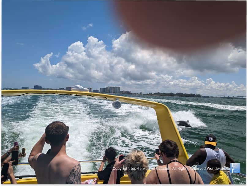 Dolphin playing in the wake on the Sea Screamer in Clearwater Beach, FL