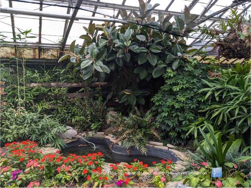 Greenery and a pond at Rockefeller Greenhouse in Cleveland