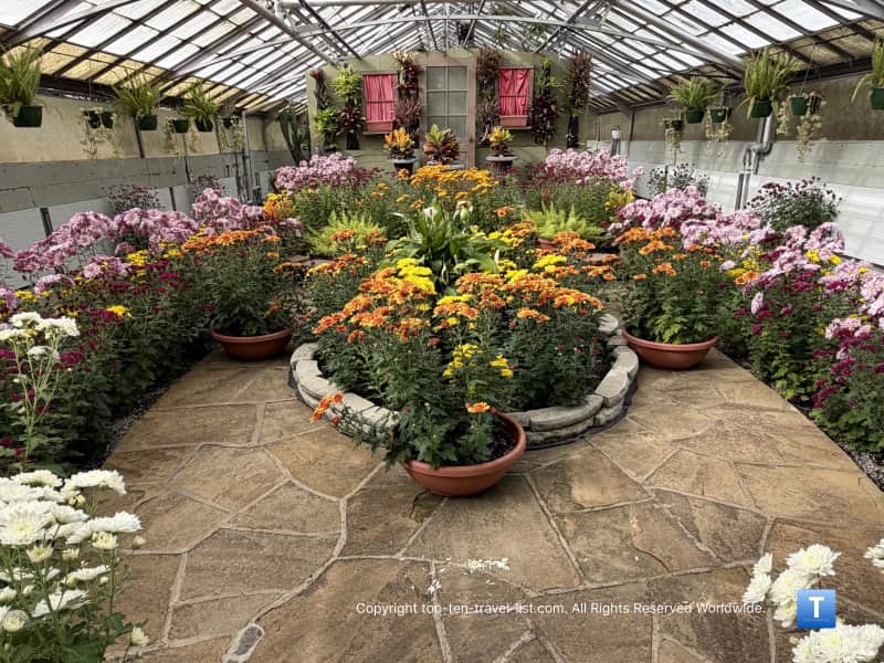 Fall floral display at the Rockefeller Greenhouse in Cleveland