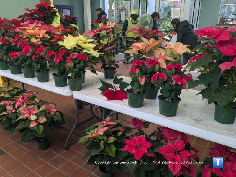 Poinsettia sale at the Rockefeller Greenhouse in Cleveland