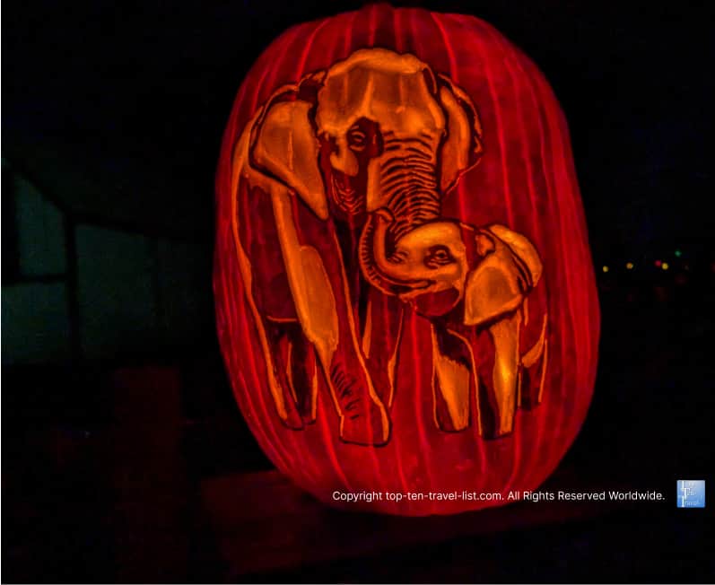 Elephant Jack O'Lantern at the Pittsburgh Zoo