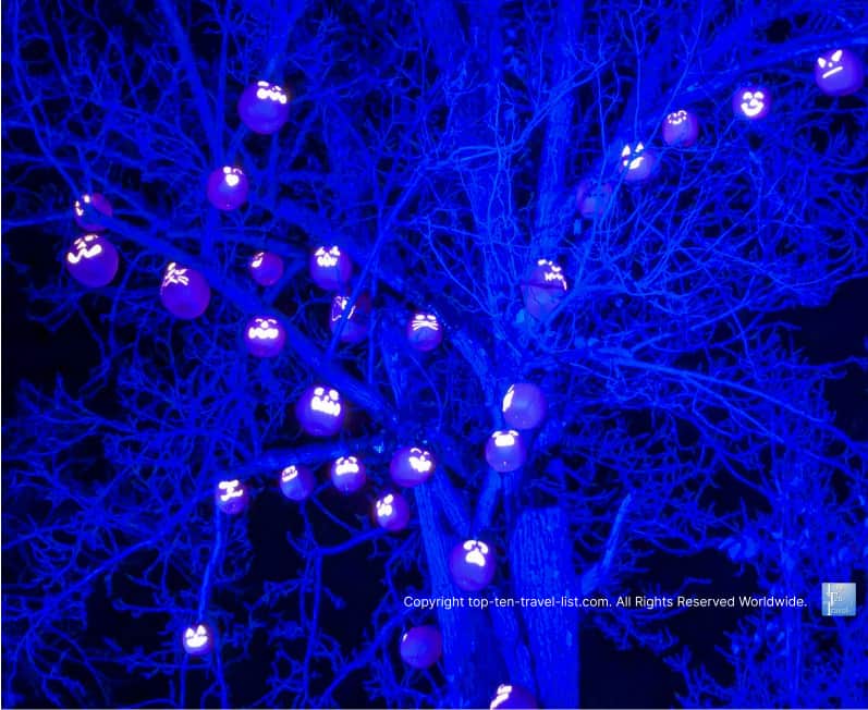 Festive pumpkin tree at the Pittsburgh Zoo