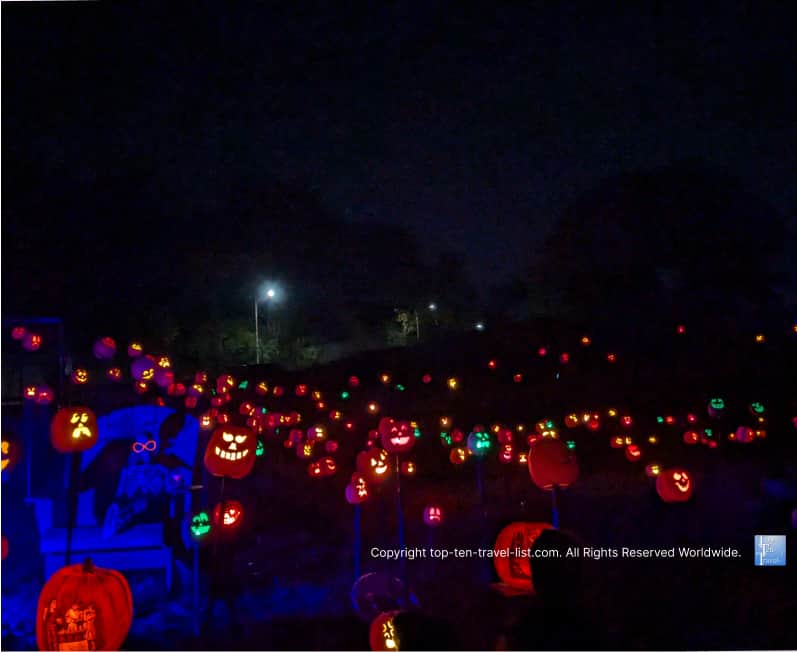 Halloween Pumpkin Trail at the Pittsburgh Zoo