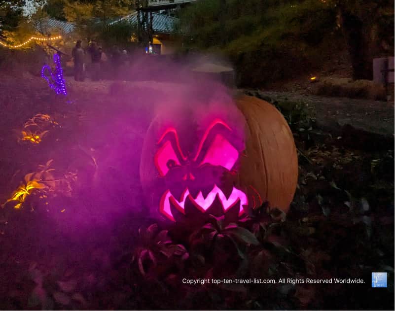 Giant Jack O'Lantern at the Pittsburgh Zoo