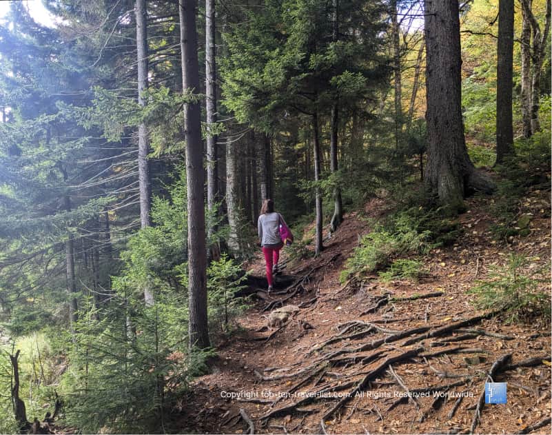 Hiking the Shavers Lake Trail in Snowshoe, West Virginia