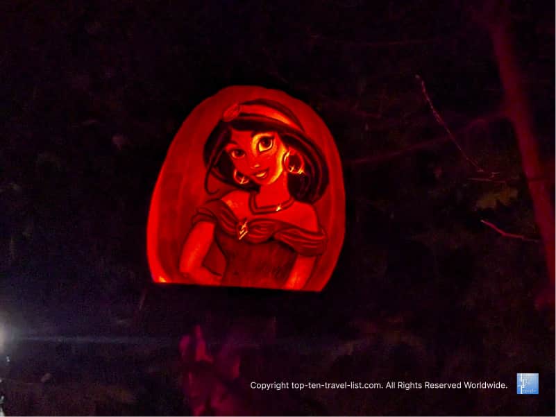 Jasmine Jack O'Lantern at the Pittsburgh Zoo