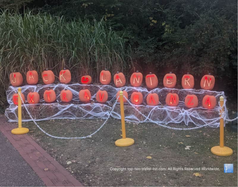 Photo opp at the Jack O'Lantern Spectacular at the Pittsburgh Zoo
