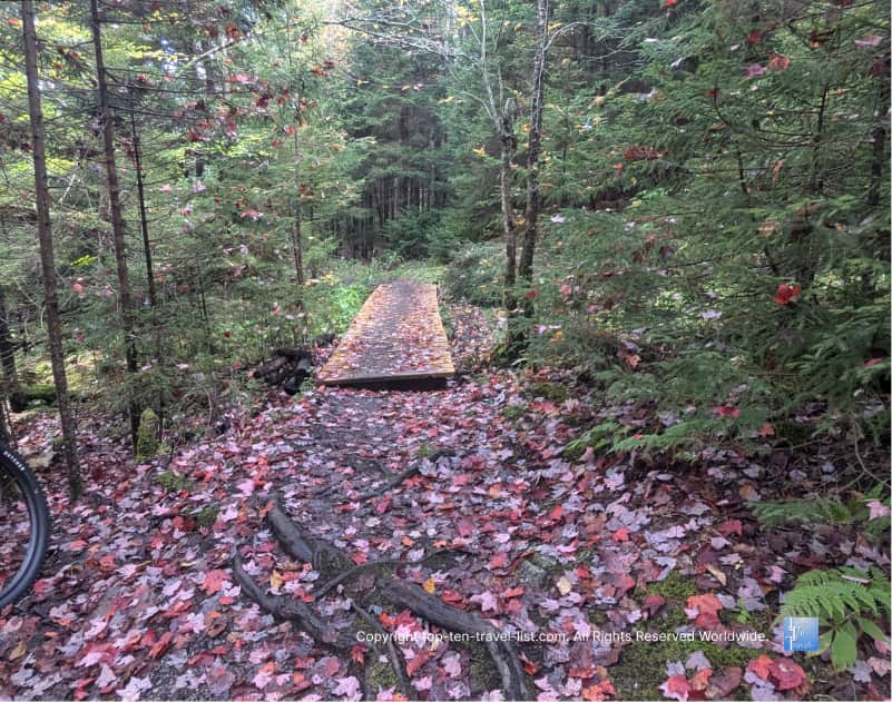 Beautiful fall foliage lining the Shavers Lake trail in Snowshoe, West Virginia