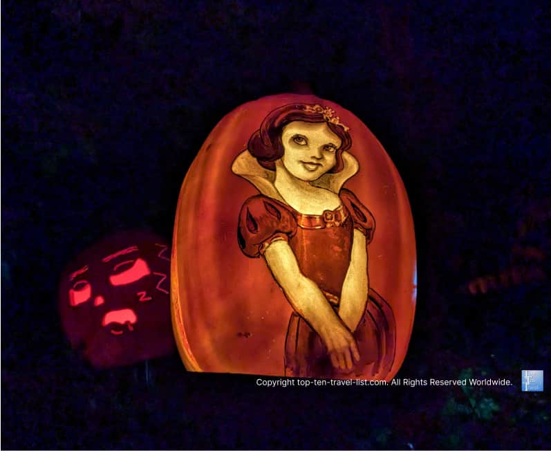 Snow White Jack O'Lantern at the Pittsburgh Zoo