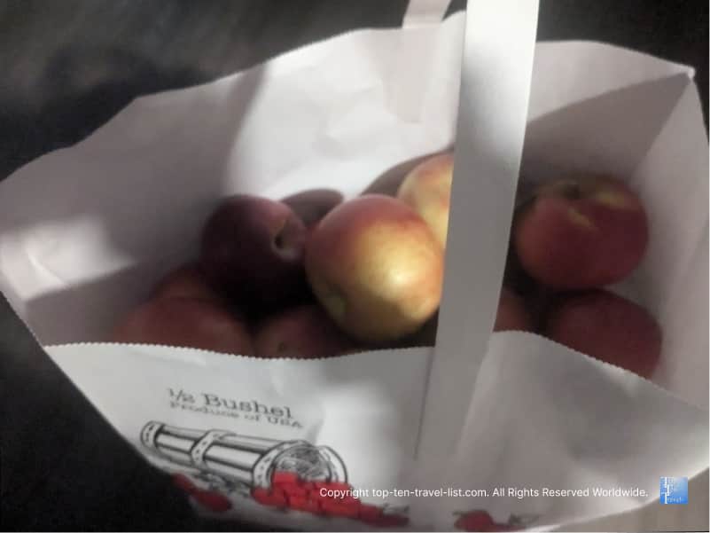 Apples at Brant's Orchards in Ashtabula