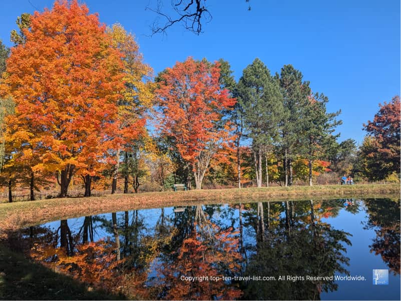 Fall foliage in Ashtabula at Brant's Orchard
