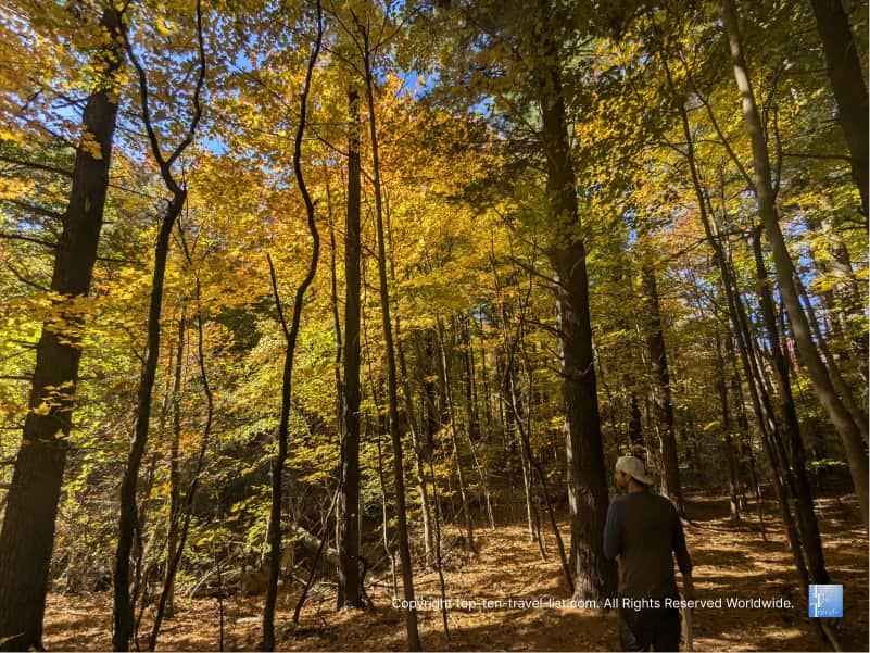 Leaf peeping hike at Brant's Orchard in Ashtabula