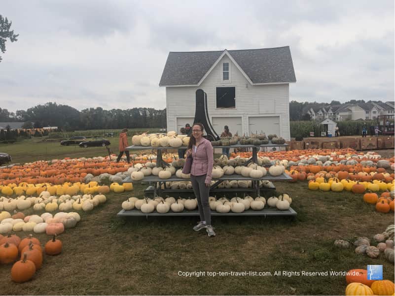 Pickering Hill Farms Pumpkin Patch