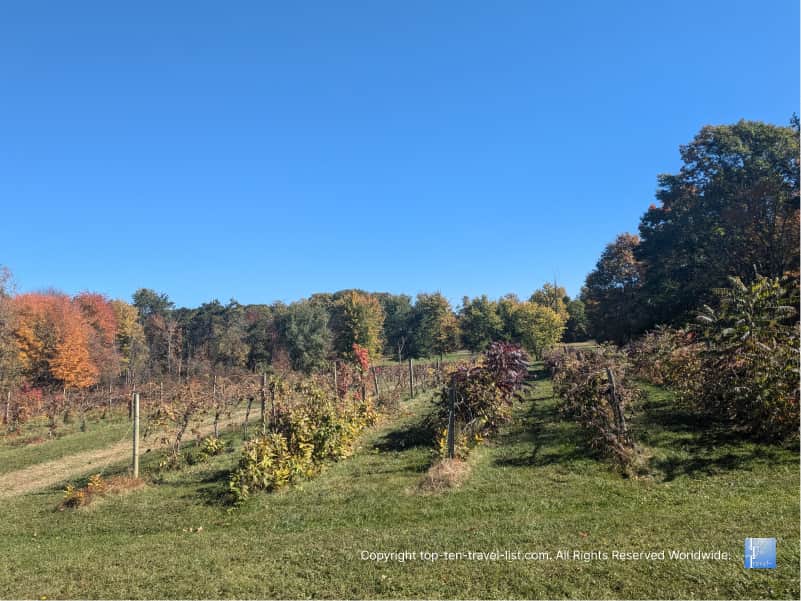 Views of the orchard at Brant's in Ashtabula, Ohio