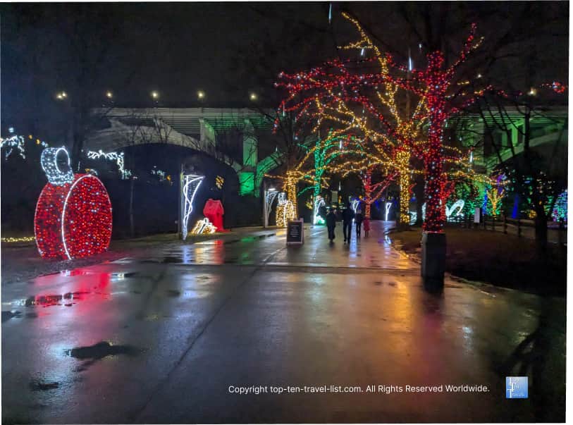 Festive tree lights at the Cleveland Metroparks Zoo