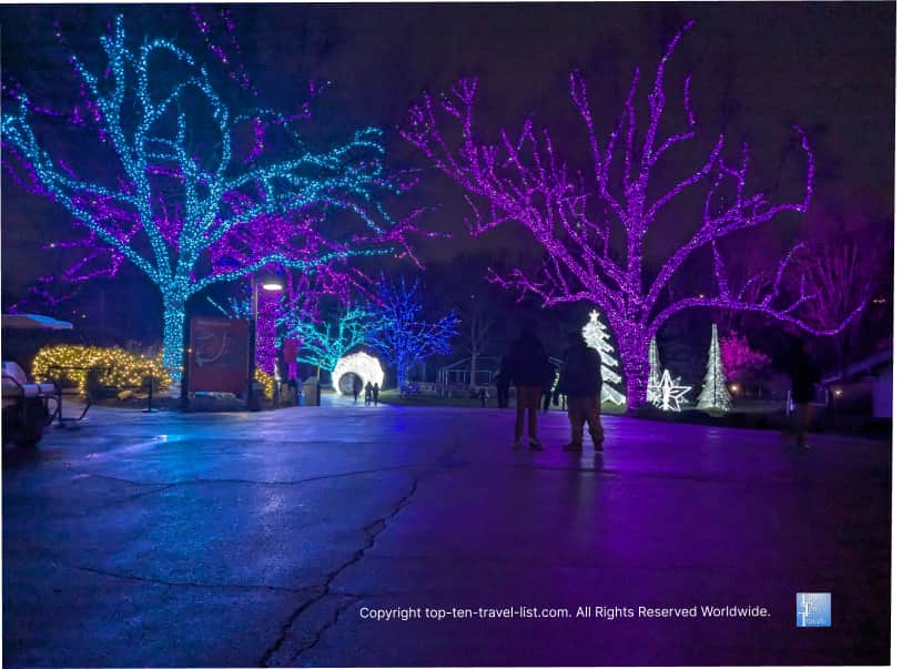 Colorful purple and blue lights display at the Cleveland Zoo