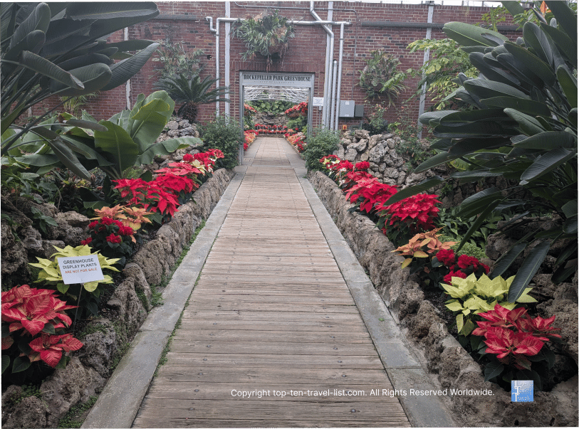 Holiday poinsettia display at Rockefeller Greenhouse in Cleveland 