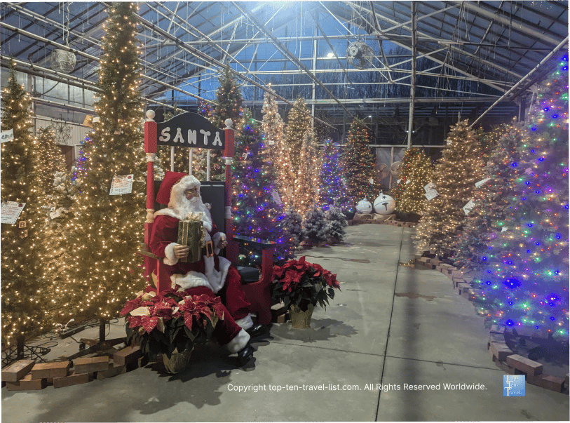 Maria Gardens Christmas trees in North Royalton, OH