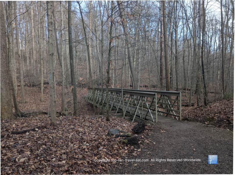 Beautiful forest views along the Blue Hen Falls trail at Cuyahoga Valley National Park in Ohio