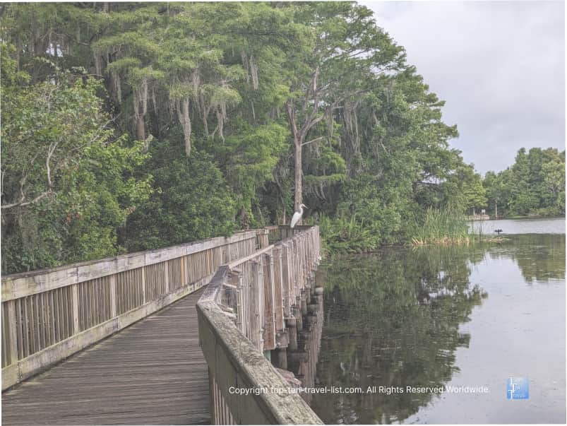 Boardwalk at AL Anderson