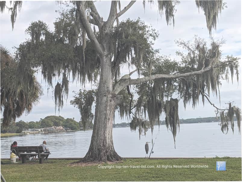 Lake views at A.L. Anderson Park in Tarpon Springs
