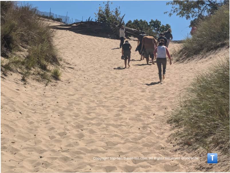 Climbing up Devils Slide at Indiana Dunes