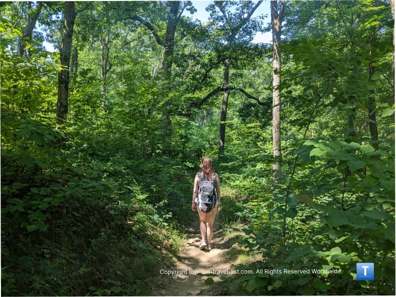 Hiking the Dune Ridge trail at Indiana Dunes National Park