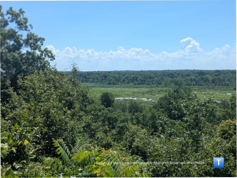 View of wetlands from Dune Ridge Trail at Indiana Dunes National park
