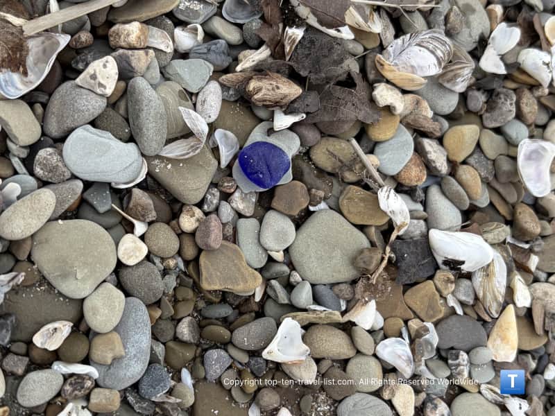 Cobalt blue seaglass at Conneaut Township Park in Ohio