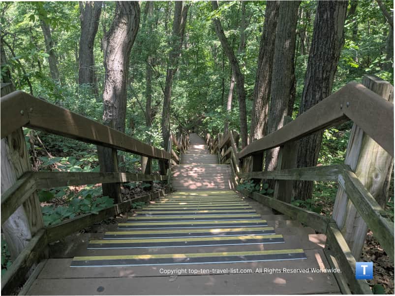 Shady portion of the Diana Dune dare in Indiana