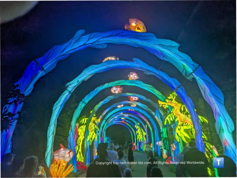 Aquatic themed tunnel at Cleveland Lantern festival