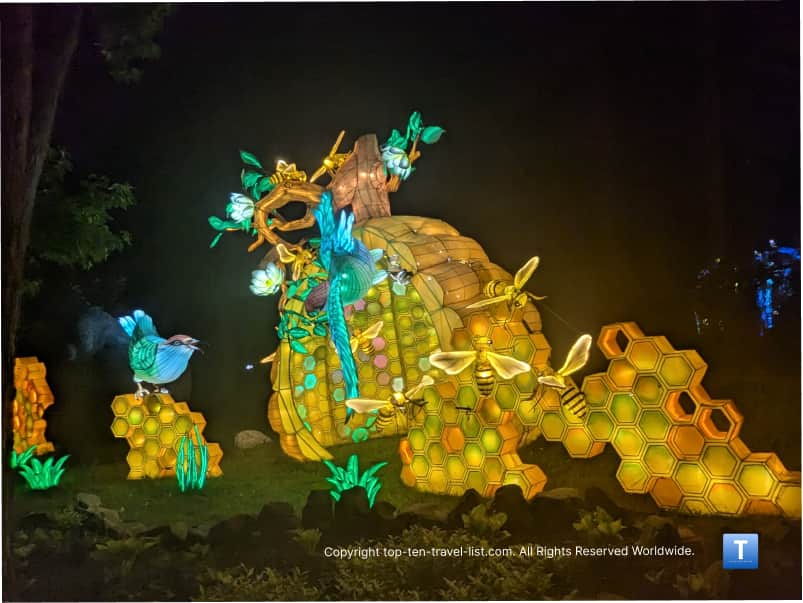 Bee colony lantern at Cleveland lantern festival