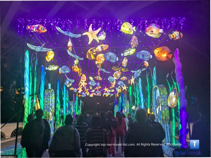 Fish themed tunnel at Cleveland Asian Lantern event