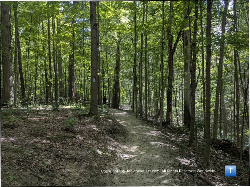 Hiking on the White Oak Trail through a dense forest