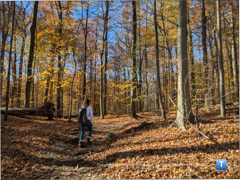 Fall hike up the Hemlock trail at Brecksville Reservation in Ohio