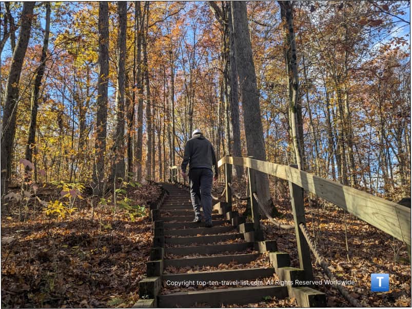 Wildflower Loop staircase climb with fall colors at Brecksville Reservation