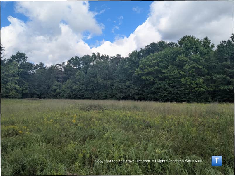Tallgrass prairie at Brecksville Reservation